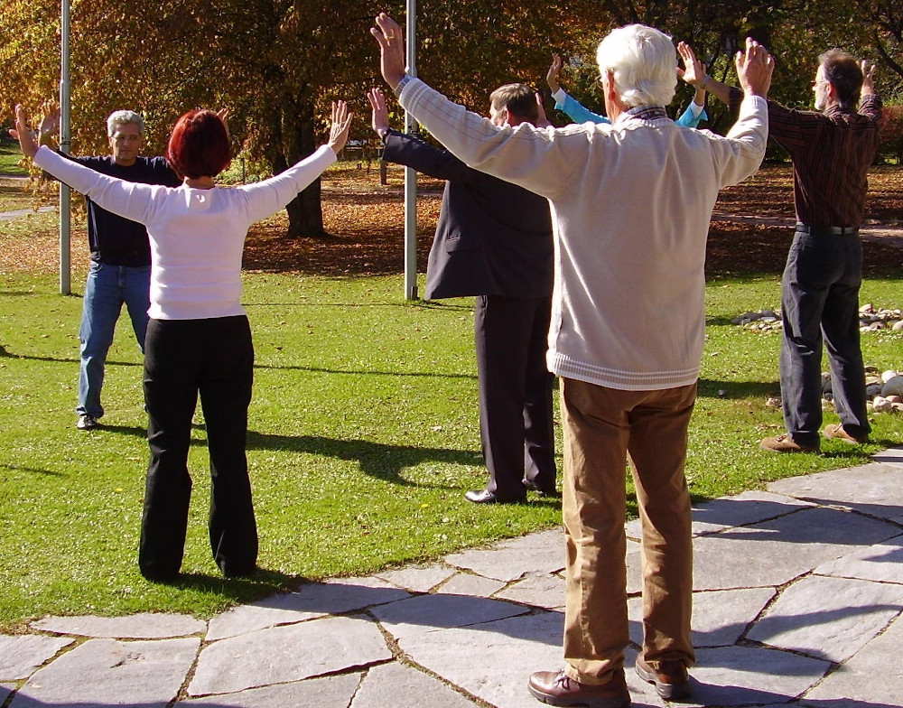 Fisioterapia Geriátrica
